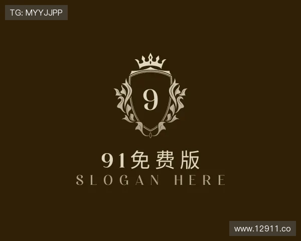 导引91免费版